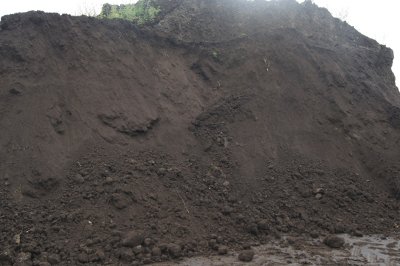 Ziemia torfowa